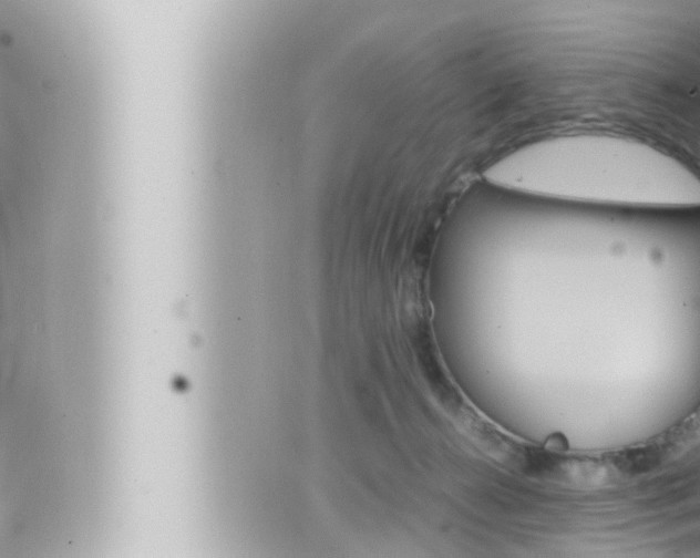 X0000066520272200603170957