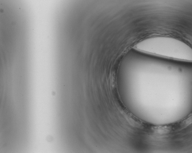 X0000066520273200603170957