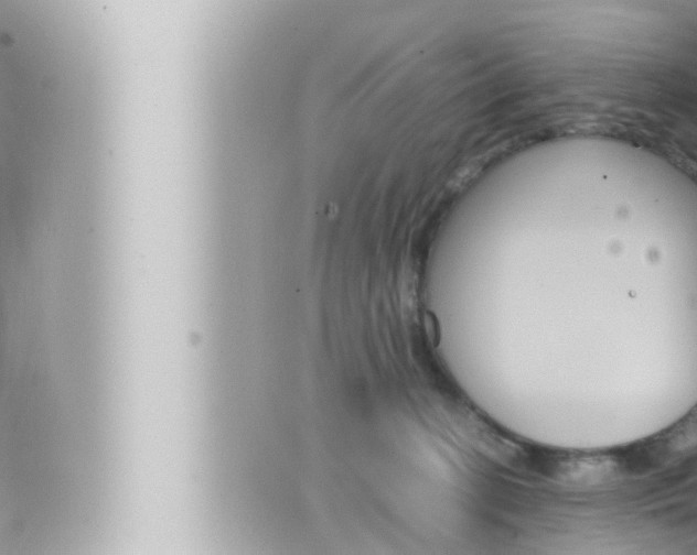 X0000066520274200603170957