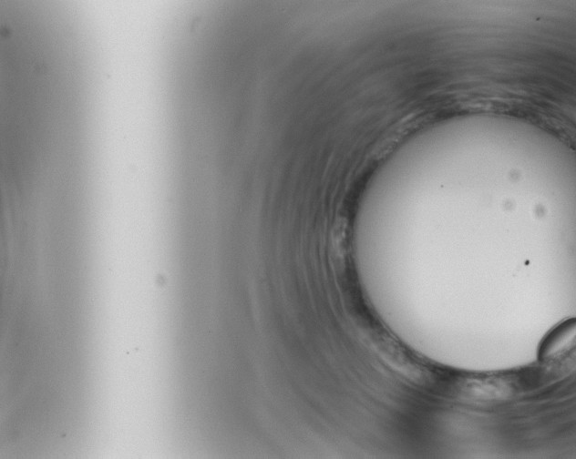 X0000066520275200603170958