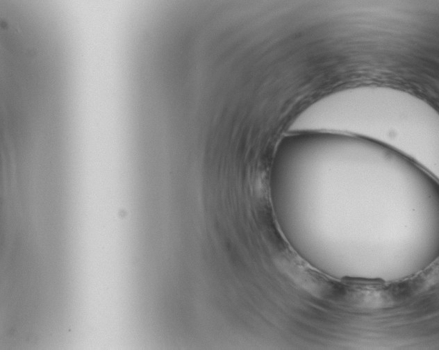 X0000066520276200603170958