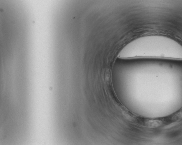 X0000066520277200603170958