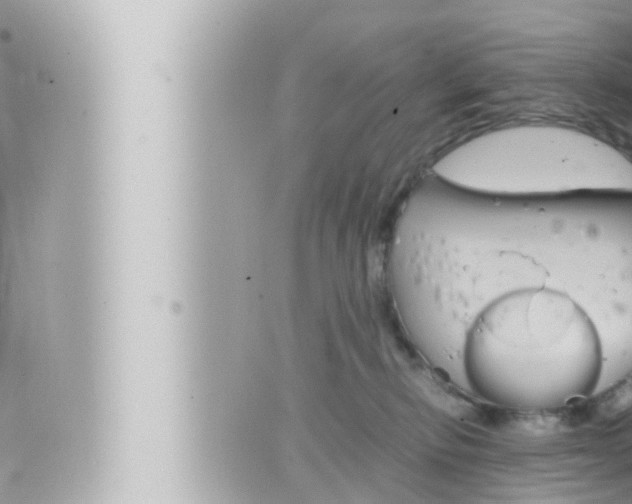 X0000066520278200603170958