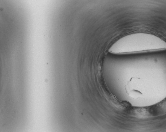 X0000066520279200603170958