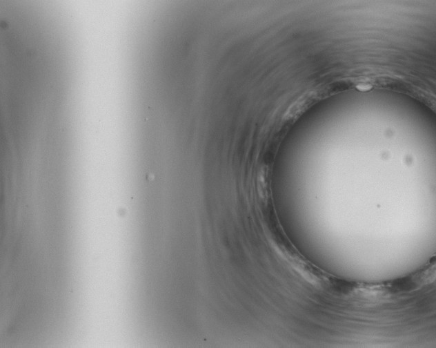 X0000066520280200603170958