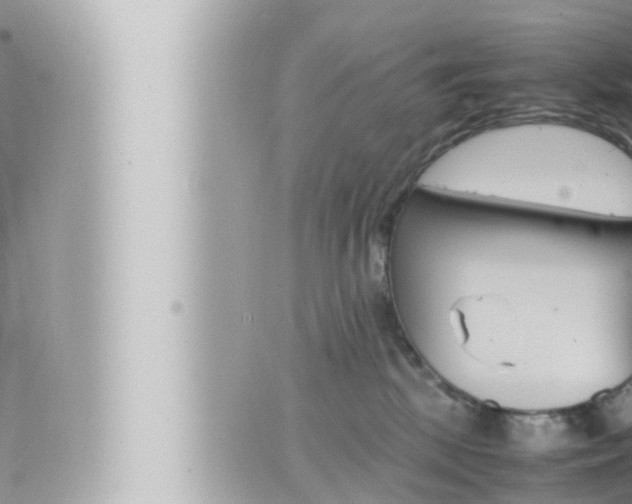 X0000066520281200603170958