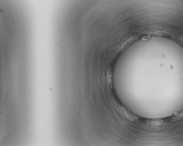 X0000066520282200603170958