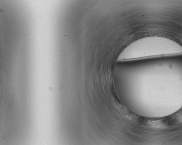 X0000066520283200603170958