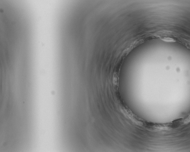 X0000066520284200603170958