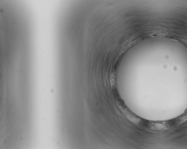 X0000066520285200603170958