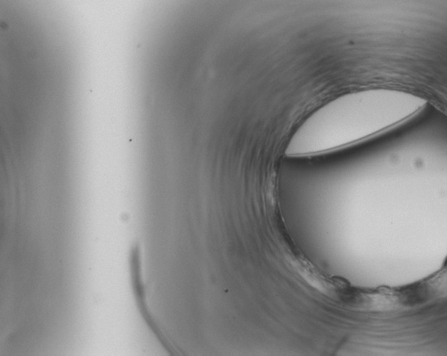 X0000066520286200603170958