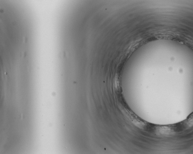 X0000066520287200603170958