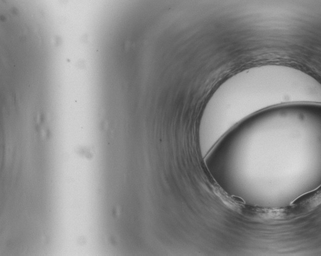 X0000066520288200603170958