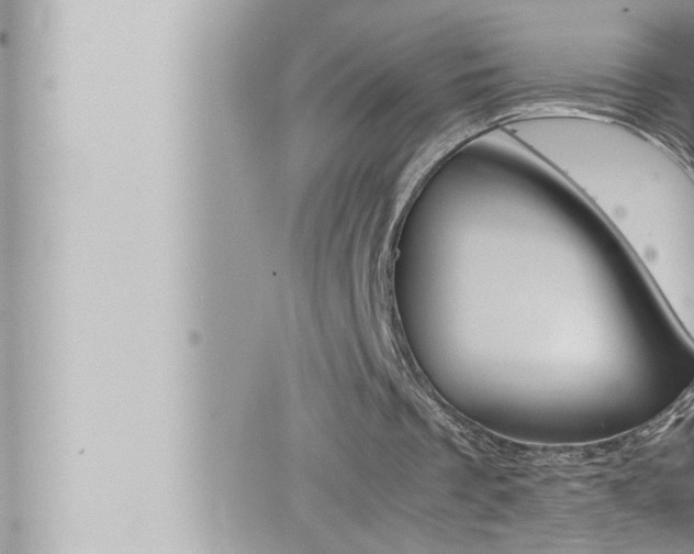 X0000066520289200603170957