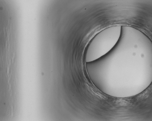 X0000066520290200603170957