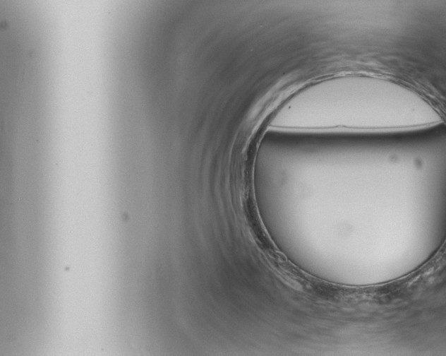 X0000066520291200603170957