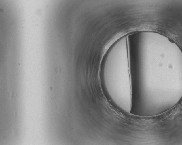 X0000066520292200603170957