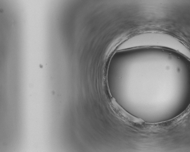 X0000066520293200603170957