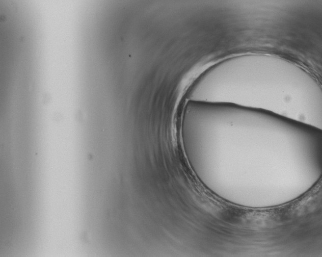 X0000066520294200603170957