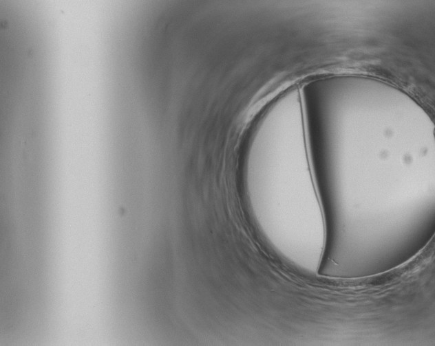 X0000066520295200603170957