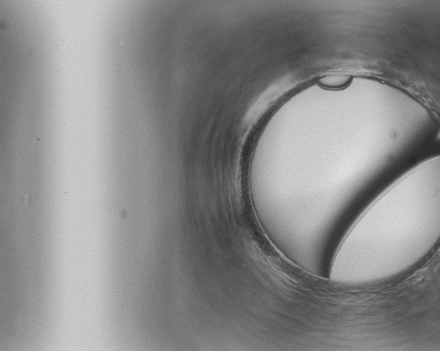 X0000066520296200603170957