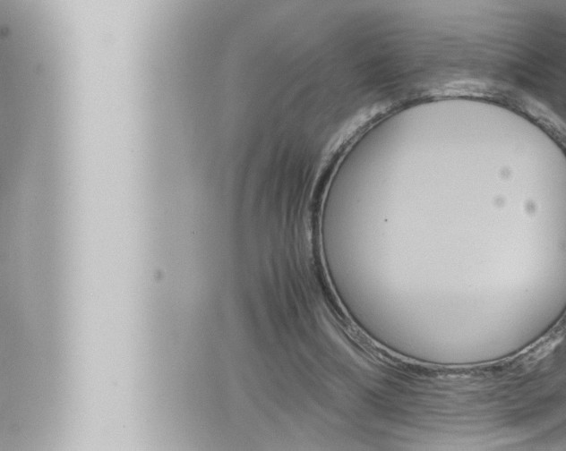 X0000066520298200603170957