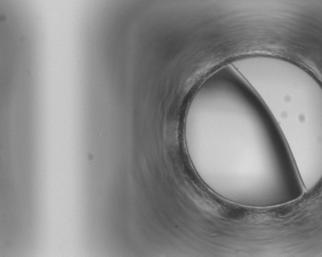 X0000066520299200603170957