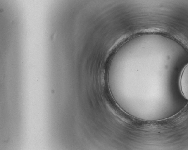 X0000066520300200603170957