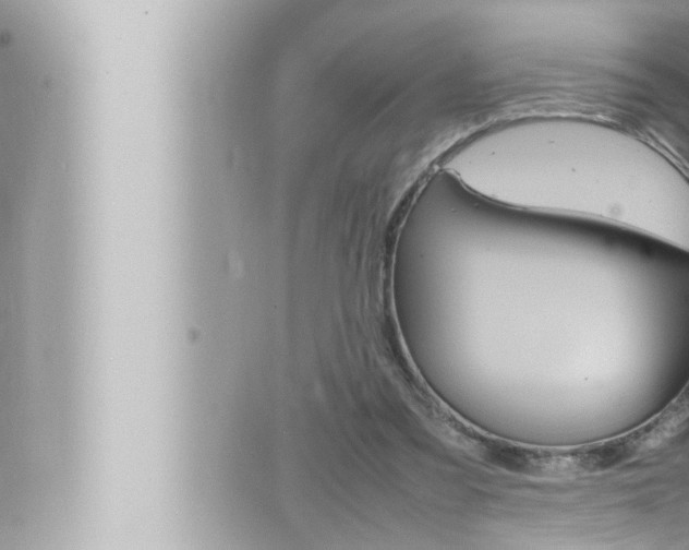 X0000066520301200603170957