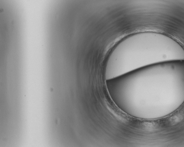 X0000066520302200603170957