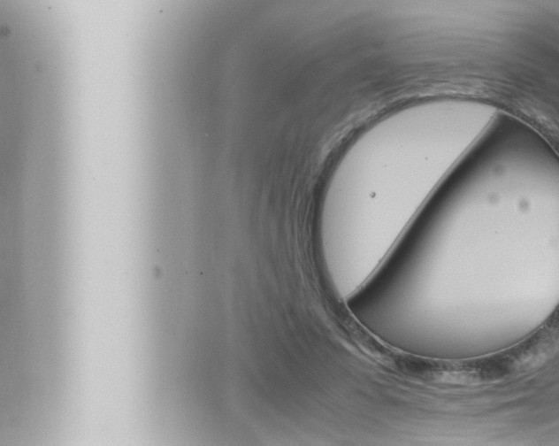 X0000066520303200603170957