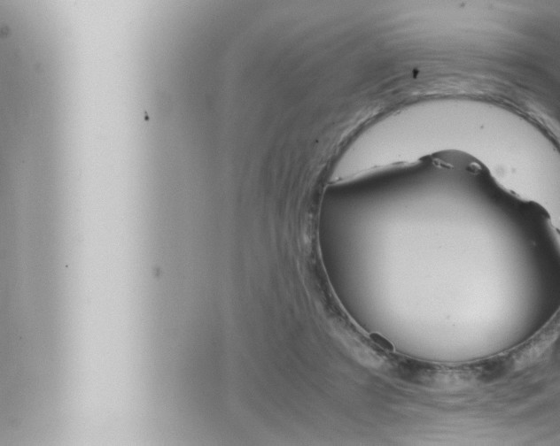 X0000066520305200603170957