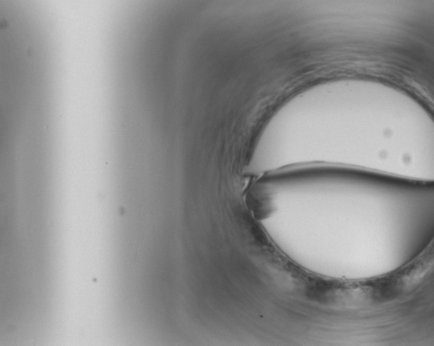 X0000066520307200603170957