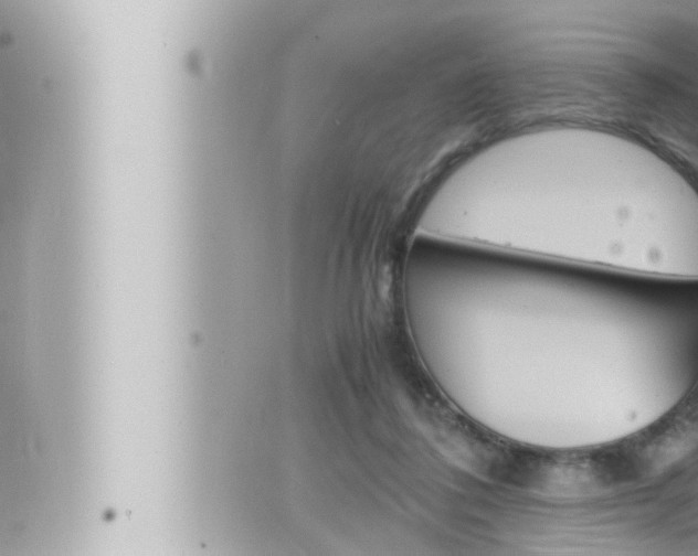 X0000066520308200603170957