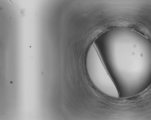 X0000066520309200603170957