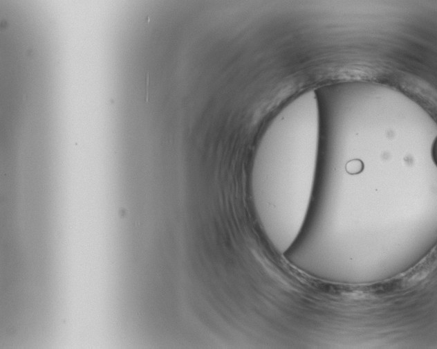 X0000066520310200603170957