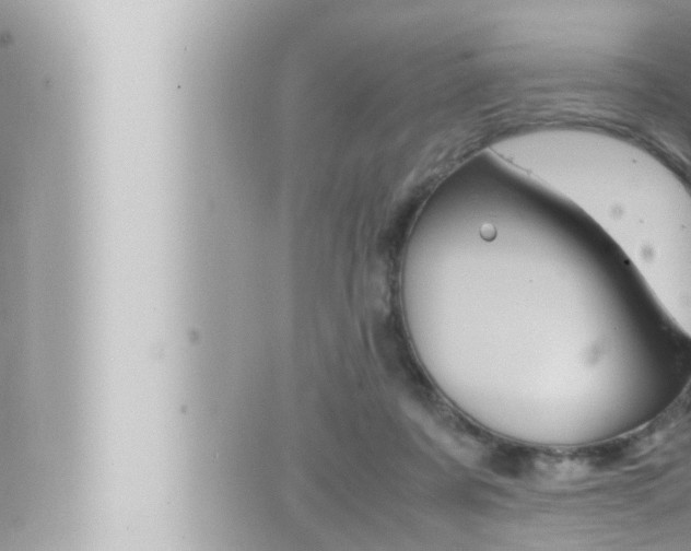 X0000066520311200603170957