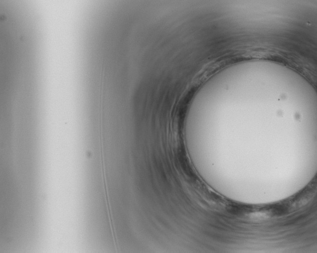 X0000066520312200603170957