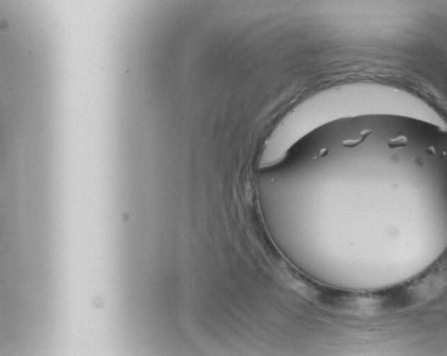 X0000066520313200603170957