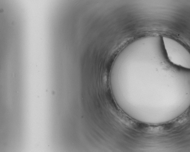 X0000066520314200603170957