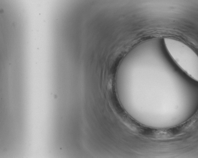 X0000066520315200603170957