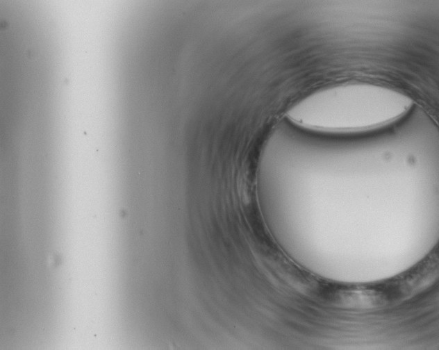 X0000066520316200603170957