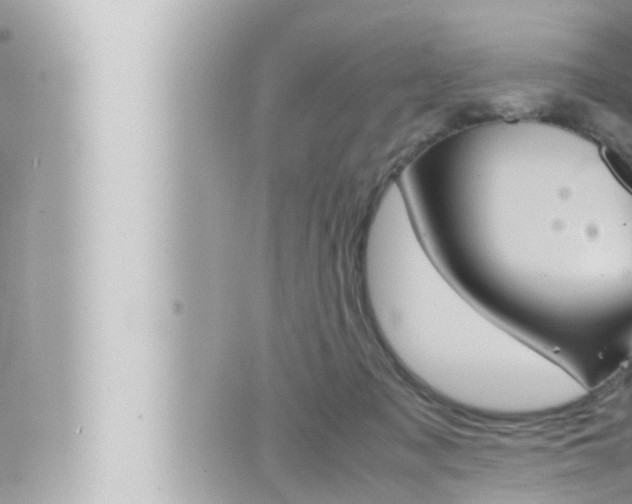 X0000066520317200603170956