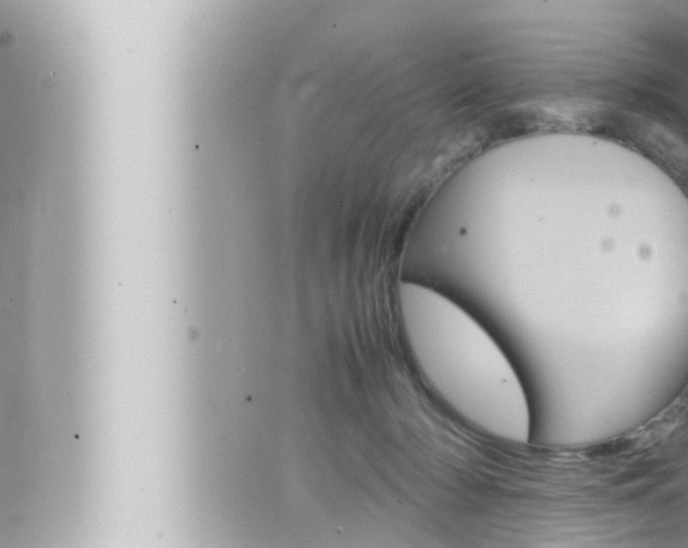 X0000066520318200603170956