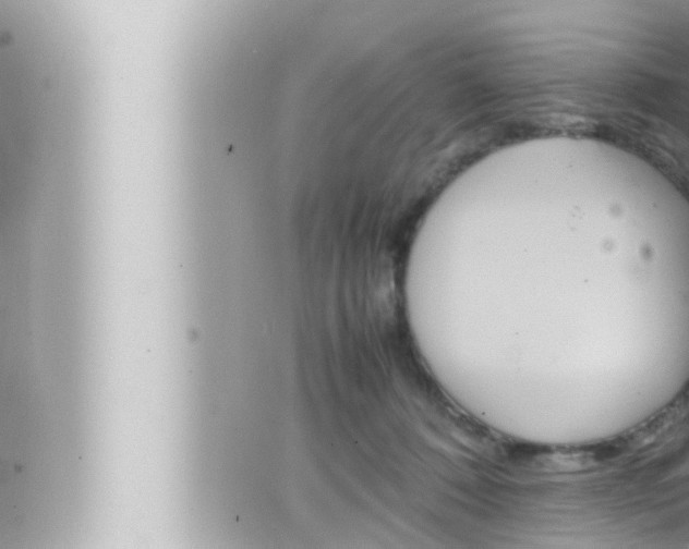 X0000066520320200603170956