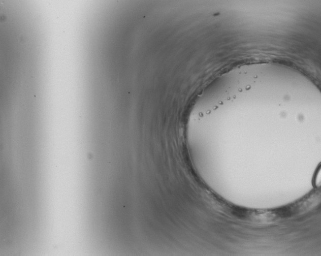 X0000066520321200603170956