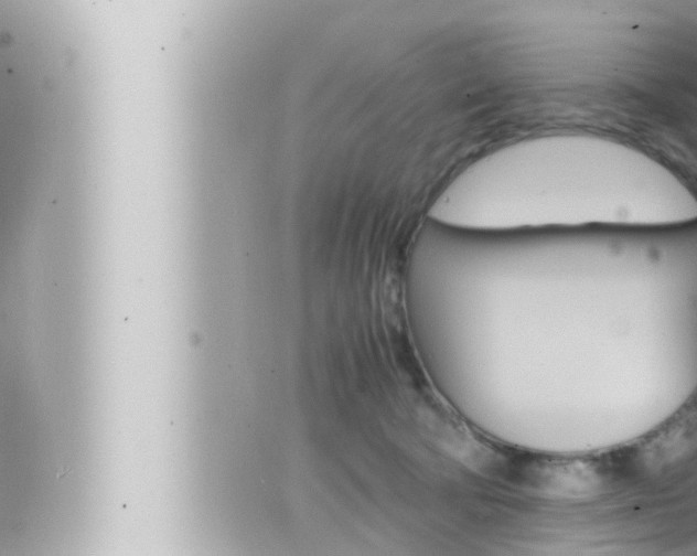 X0000066520322200603170956