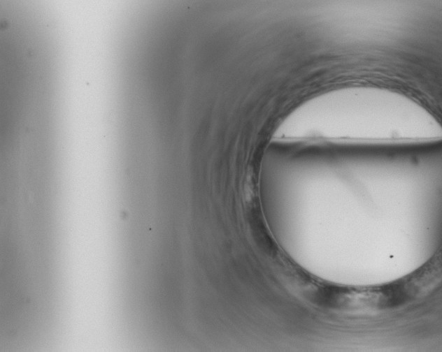 X0000066520323200603170956