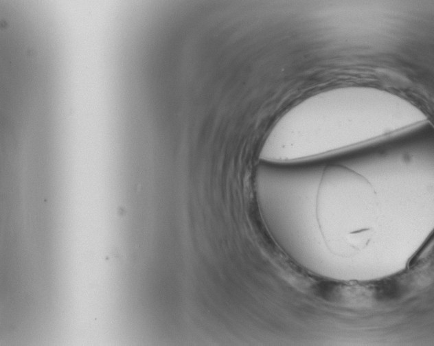 X0000066520327200603170956