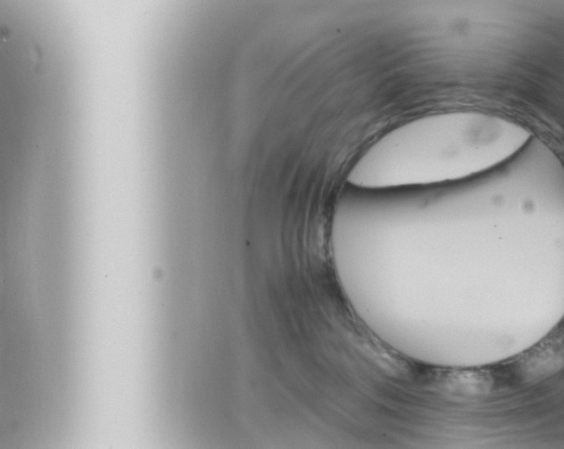 X0000066520330200603170956